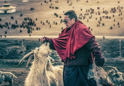 原创-人文-男人-男性-牧羊人 图片素材