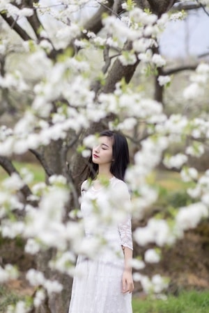人像-少女-李花-猕猴-女性 图片素材