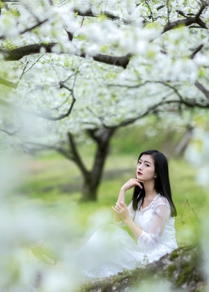 人像-少女-李花-春天-美女 图片素材