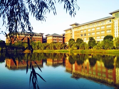 旅行-风景-植物-风景-湖 图片素材