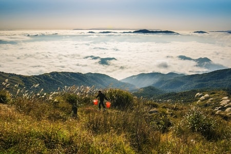 摄影-风景-旅行-雾-早晨 图片素材