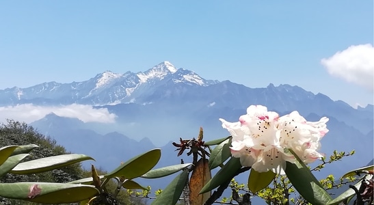 旅行-原创-70周年风光-70周年摄影大赛-每日一拍 图片素材