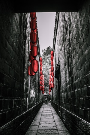 我要上封面-光影-摄影-原创-成都 图片素材