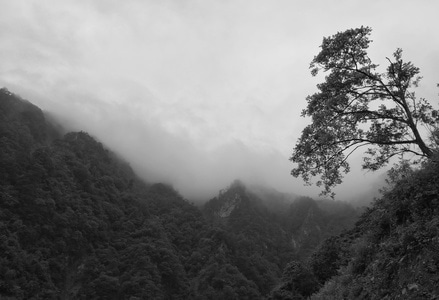 每日一拍-原创-70周年摄影大赛-70周年风光-牧场 图片素材