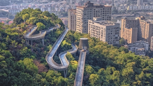 我的2019-艺术-色调-秋景-后期 图片素材