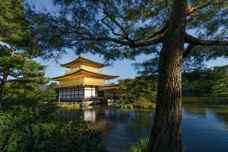 风光-旅行-日式-京都-旅拍 图片素材