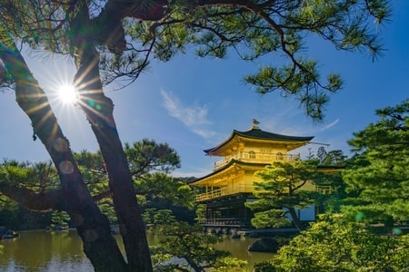 风光-旅行-旅拍-京都-城市 图片素材
