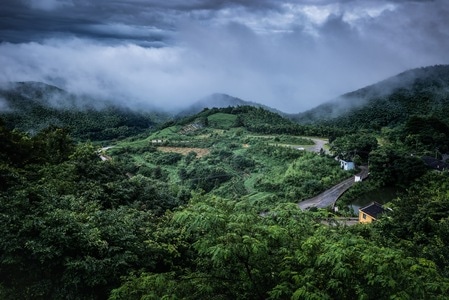 云-雾-山-森林-风景 图片素材