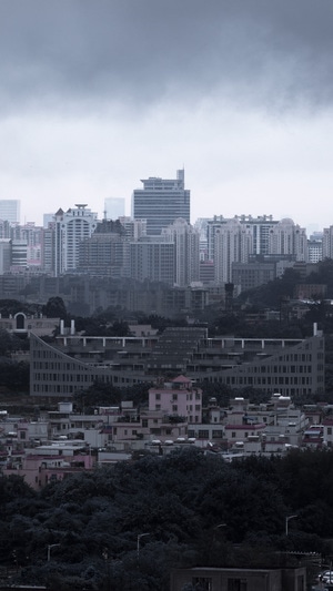 高楼-楼-市中心-建筑-城市 图片素材