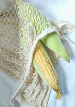 我的六月-记录-生活-大雨🌧️-玉米🌽 图片素材