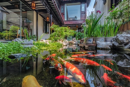 古宅-庭院-池塘-花园-风景 图片素材