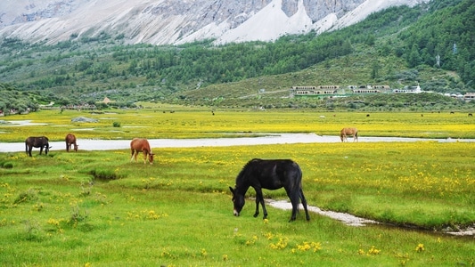 旅行-稻城亚丁-川西-风景-美景 图片素材