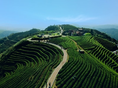 公园-风光-户外-天空-植物 图片素材