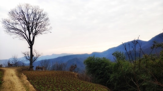 乡村-风景-手机摄影-风光-风景 图片素材
