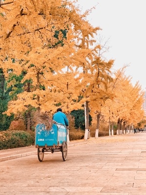 旅行-后期-城市-北京-色彩 图片素材