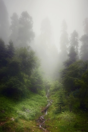 西藏-线条-黑白-森林-风景 图片素材
