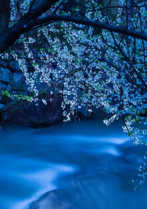 夜色-湖泊-在路上-旅游-旅行 图片素材