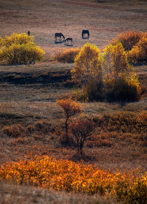 艺术风光-旅游-旅行-色彩-风光 图片素材