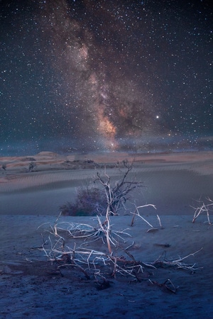 草原-沙漠-自然-风光-记录 图片素材