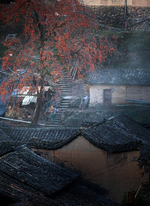农村-夕阳-早晨-色彩-旅行 图片素材