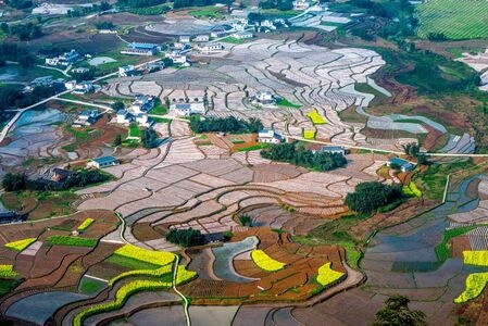 摄影-竹海-风光-风景-农田 图片素材