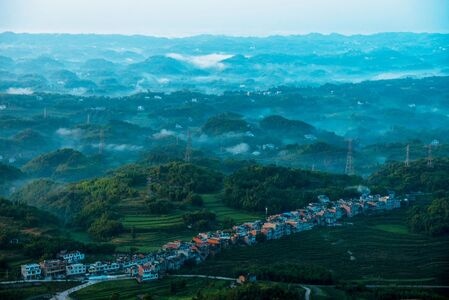 摄影-竹海-竹海-风景-风光 图片素材