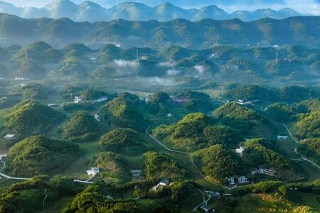 摄影-竹海-风景-风光-山 图片素材