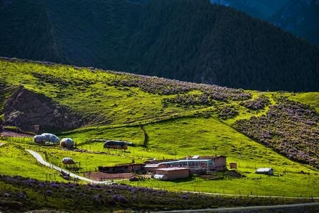 旅行-摄影-牧场-风景-风光 图片素材
