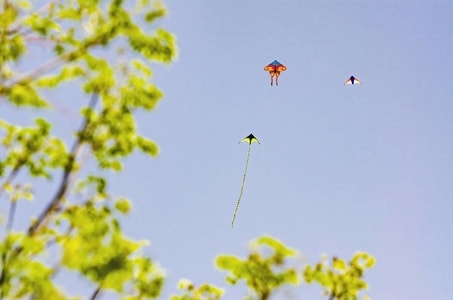 大自然-春天-飞翔-风筝-天空 图片素材