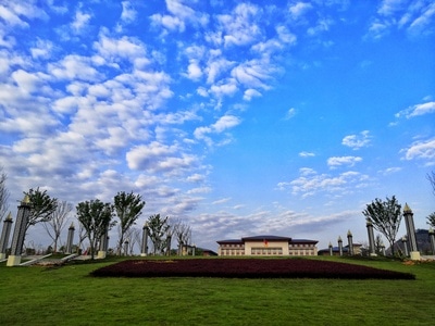 晴朗的-天空-风景-草地-草坪 图片素材