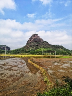 上饶市-春耕-风景-自然-农田 图片素材