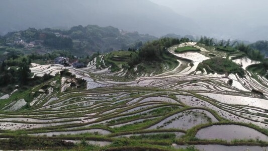 云和-梯田-风景-风光-自然 图片素材
