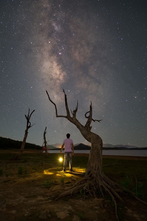 我要上封面-树-孤树-夜景-星空 图片素材