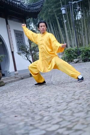 你好2020-人像-武术-功夫-中国 图片素材
