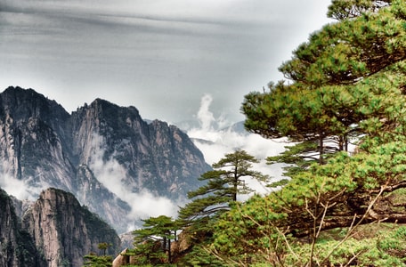 旅行-黄山-风景-云-自然 图片素材