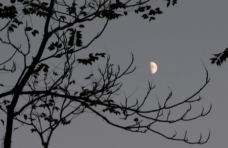 小光圈-月亮-月-月光-天空 图片素材