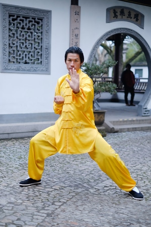 你好2020-人像-武术-功夫-中国 图片素材