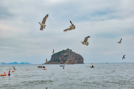 旅游-尼康-旅行-广角-自然 图片素材