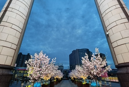 建筑-设计-室内-广角-手机 图片素材