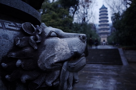 城市-随拍-南京-日常-你好2020 图片素材