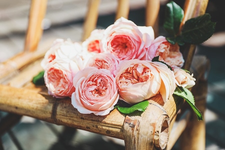 静物-花-春天-玫瑰-月季 图片素材