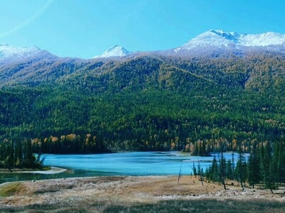 风光-旅行-喀纳斯月亮湾-湖-风景 图片素材