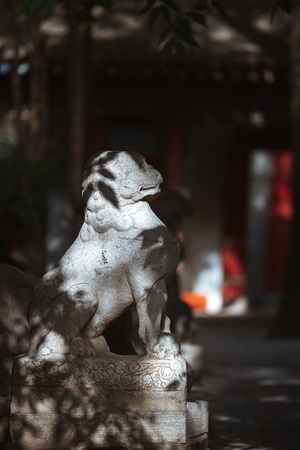 瞬间-街拍-石狮-大兴善寺-寺庙 图片素材