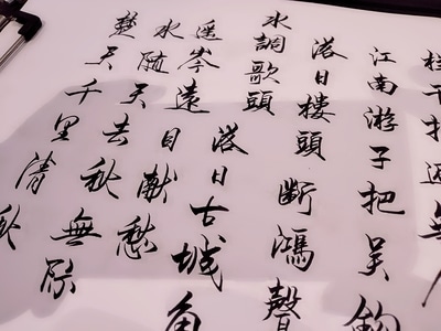 王小鱼-写字-练习-书法-手写 图片素材