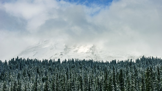 风光-色彩-瑞尼尔雪山-西雅图-风景 图片素材