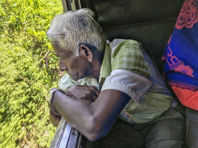 斯里兰卡-纪实-人文-旅行-旅拍 图片素材