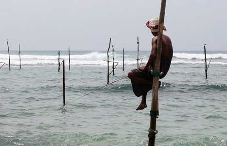 斯里兰卡-人文-纪实-旅行-旅拍 图片素材