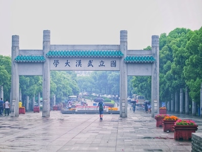 高校-教育-大学-校园-学习 图片素材