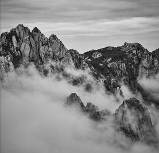 nikon-d800-70-200-黑白-自然 图片素材
