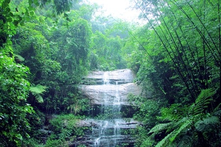 山谷-树林-溪水-瀑布-色彩 图片素材